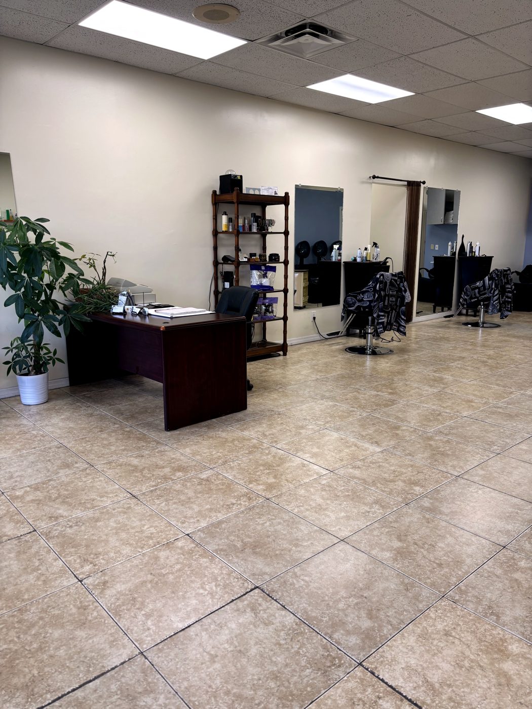 Interior de Francis International Salon — estaciones de peinado y recepción